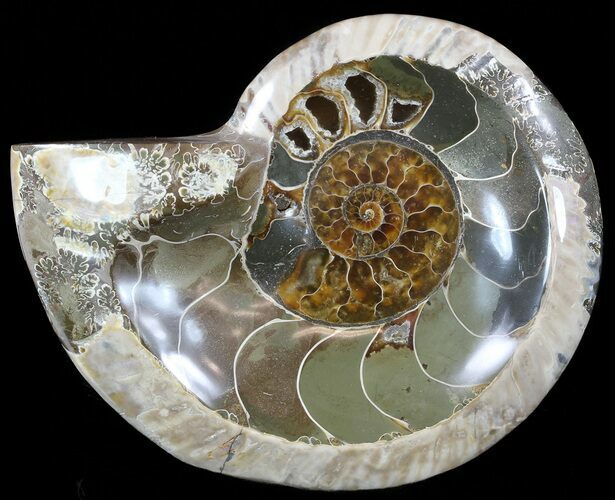 Wide Polished Ammonite Dish - Inlaid Ammonite #49788